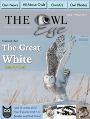 Owl Eye Magazine Issue 2 PDF Digital Version