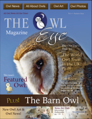 Owl Eye Magazine Issue 4 - PDF Digital Version