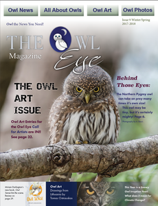 Owl Eye Magazine Issue 9 DIGITAL VERSION