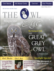 Owl Eye Magazine Issue 6 - PDF Digital Version