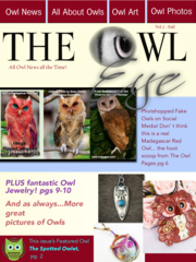 Owl Eye Magazine Issue 1 PDF Digital Version